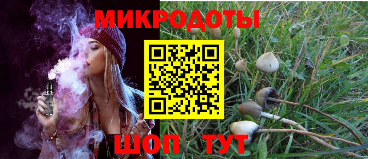 Удомля  Галлюциногенные грибы Psilocybine cubensis  цены   Псилоцибиновые грибы MAGIC MUSHROOMS  Вход с VPN 
